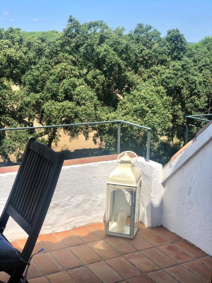 Espectacular Apartamento Con Piscina En Calella De Palafrugell Eksteriør billede